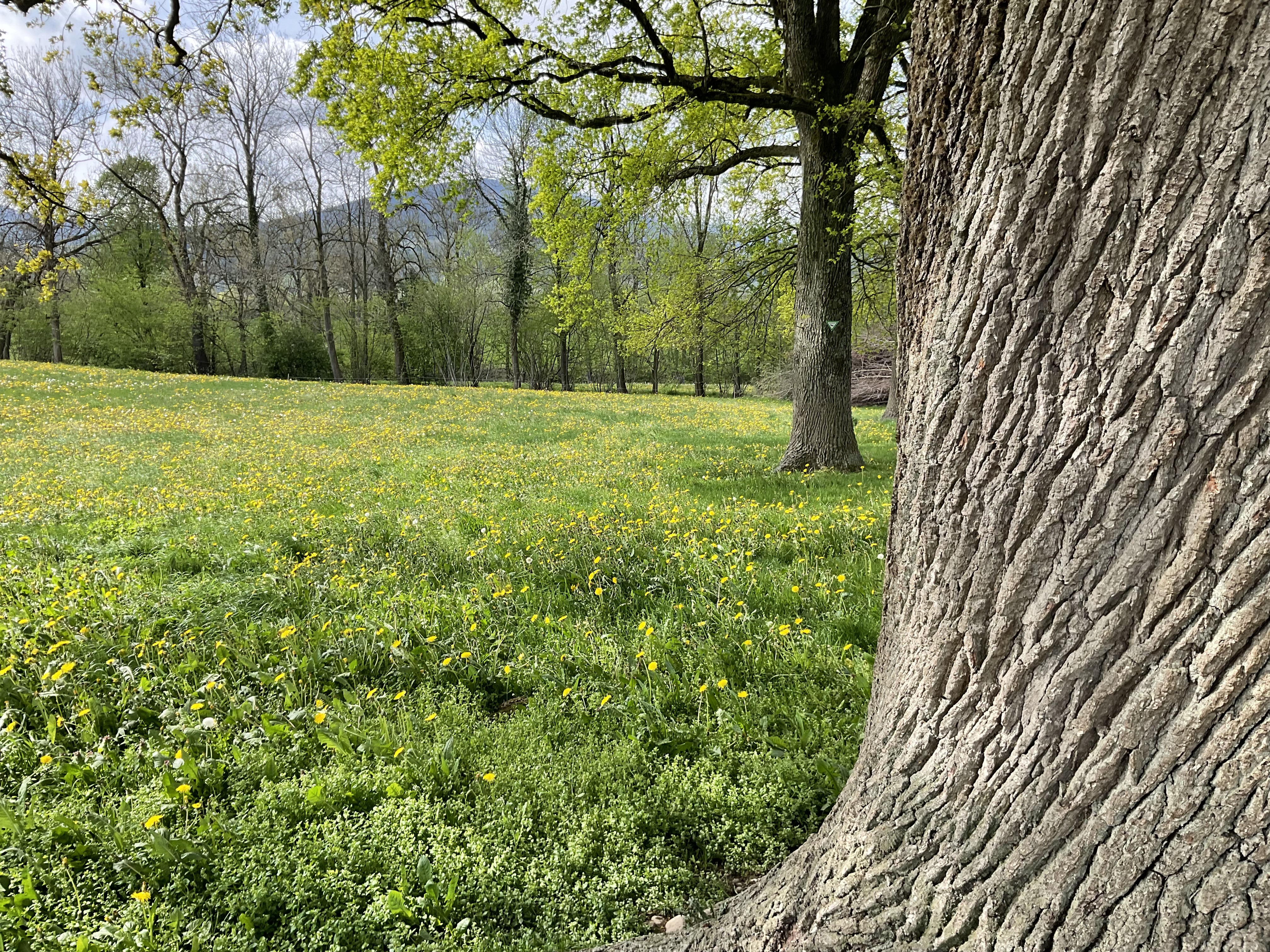 Eine erfreuliche Begegnung